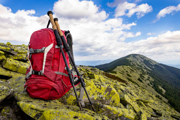 istock Hiking in the mountains with a backpack in summer. 2182820921