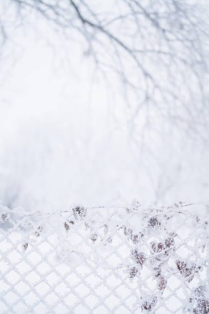 Free Stock Photo of Snow covered chain link fence with blurred ...