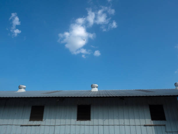 Roof ventilator on the roof with blue sky.