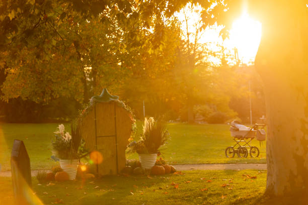 Pumpkin exhibition in garden on sunset in Czech Republic