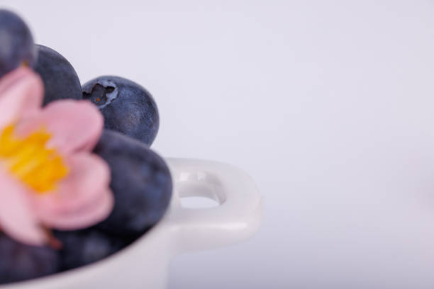 Detailed close-up of a bowl with blueberries and bright pink and red flowers on a white background, creating a fresh and vibrant look