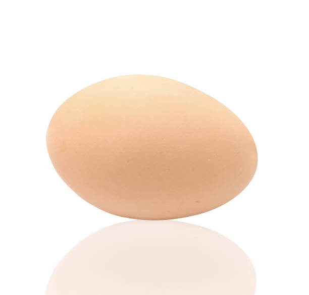 istock Close up of an egg isolated 2182834549