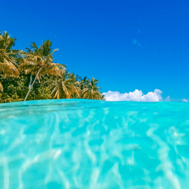 Low angle split view of tropical island from ocean