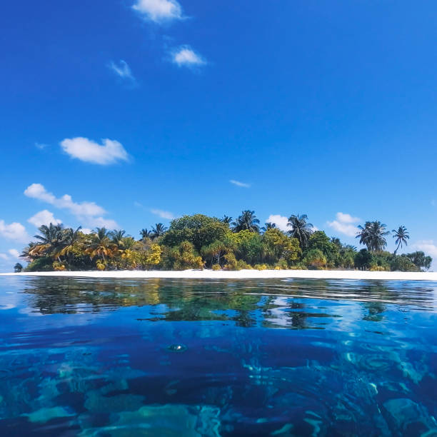 istock Low angle view of tropical island 2182835364