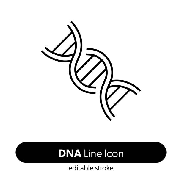 ikon garis dna. ikon vektor stroke yang dapat diedit. - dna ilustrasi stok