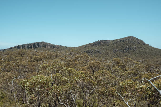 istock Vegetation growing on a Rocky Mountain in the Grampians 2182846965