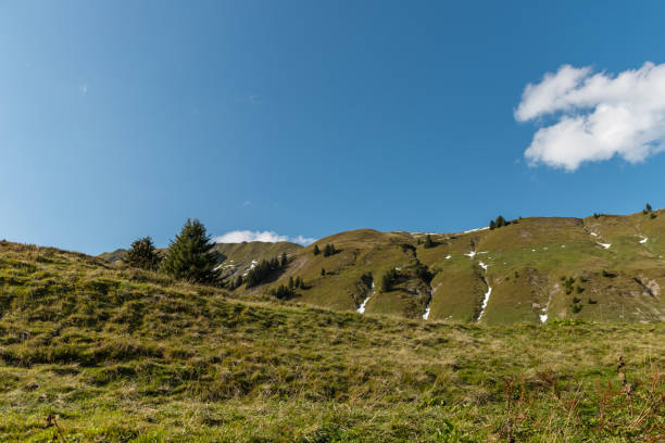 Beautiful Austrian countryside and forest landscape view