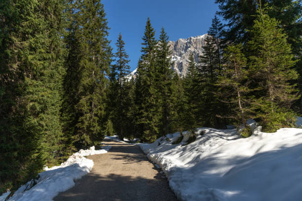Beautiful Austrian countryside and forest landscape view