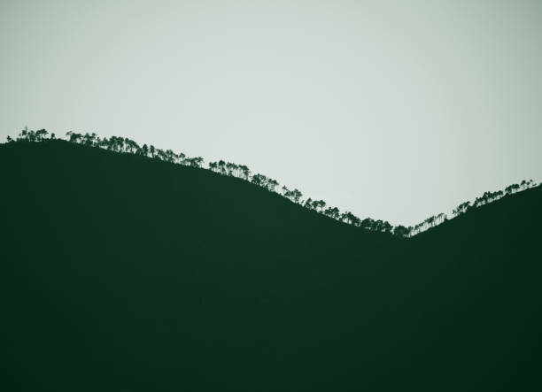 Silhouetted Mountain Ridge with Tree Line at Dusk
