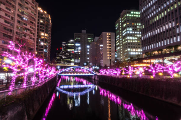 istock Winter cherry blossom illuminations along Meguro River in Tokyo 2182857048