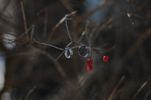 wedding photography. Two wedding rings on a tree branch with blurred background. Love, Wedding, Marriage, Proposal concept.