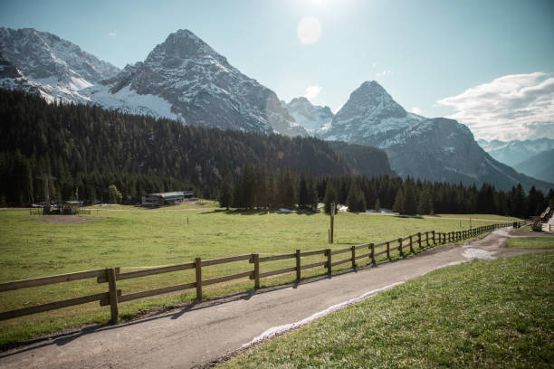 Beautiful Austrian countryside and forest landscape view
