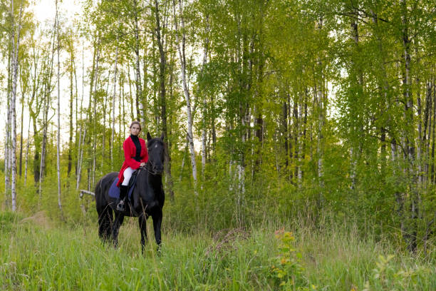 galloping horse