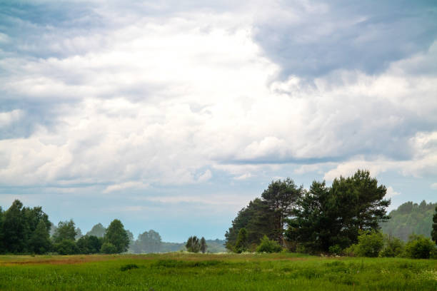 istock A beautiful field featuring trees in the background with a cloudy sky above 2182866851