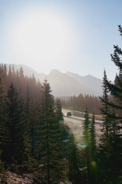 istock Sunrise over forest and mountains, Kananaskis Country 2182870343