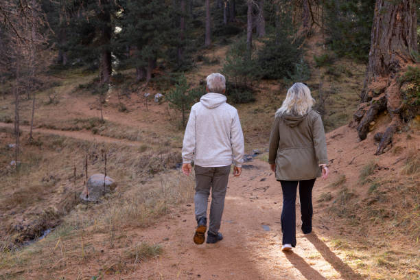 istock Mature couple walk pathway in larch forest, autumn 2182870639