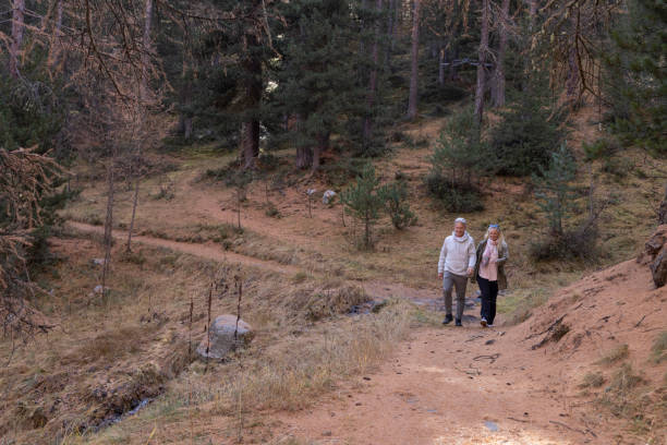 istock Mature couple walk pathway in larch forest, autumn 2182870985