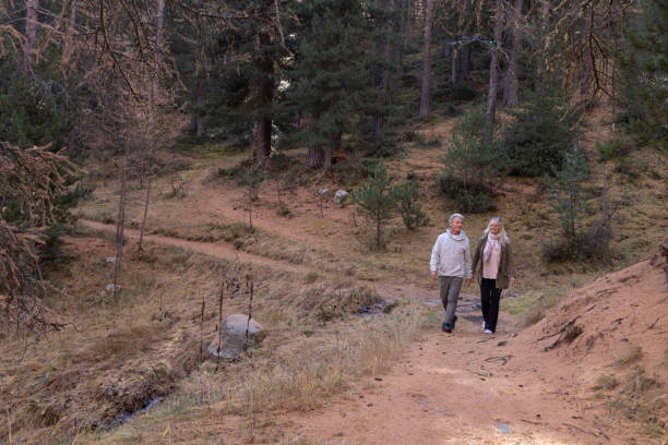 istock Mature couple walk pathway in larch forest, autumn 2182871038
