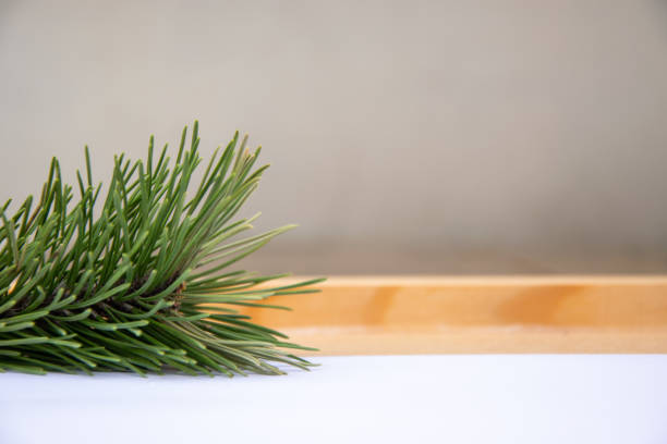 Fresh pine branches are arranged on a light wooden surface, providing a natural and rustic feel. The background is neutral, enhancing the green hues of the pine.