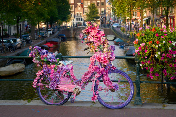 istock Flower Decorated Vintage Bicycle Amsterdam 2182875258
