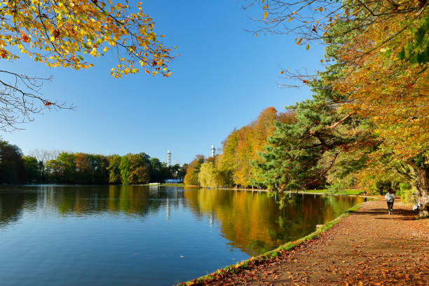 istock Cologne City forest in Autumn 2182877568