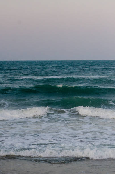 istock Like a wave in the ocean 2182881239