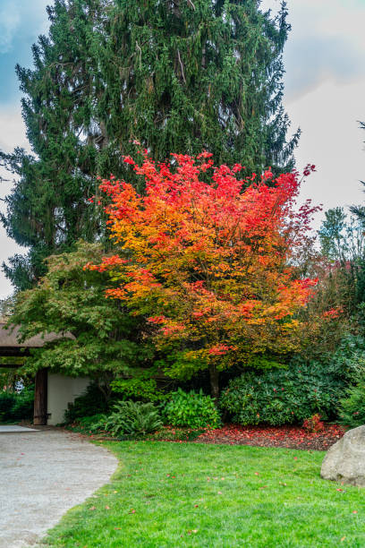 istock Kubota Autumn Entrance 4 2182881851