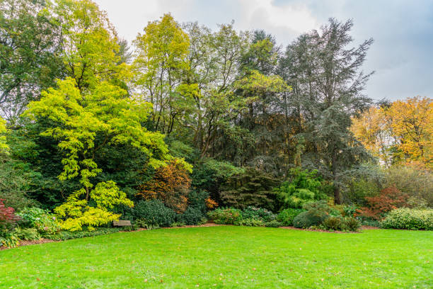 istock Kubtoa Autumn Variety 2 2182881852
