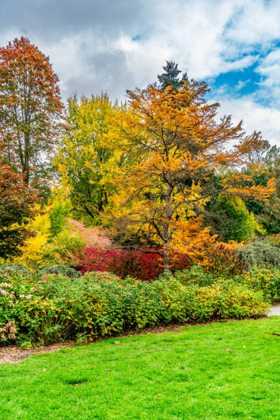 istock Kubota Gardens Fall Landsscape 5 2182881867