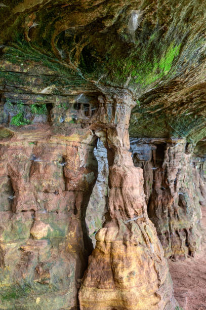 The Altschlossfelsen in the Palatinate Forest presents a fascinating display of bizarre shapes. The eroded, moss-covered sandstone structures create captivating colors and patterns.