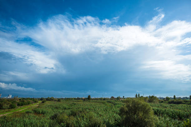 Beautiful idyllic landscape showing a green meadow with bushes and a dramatic clouded sky