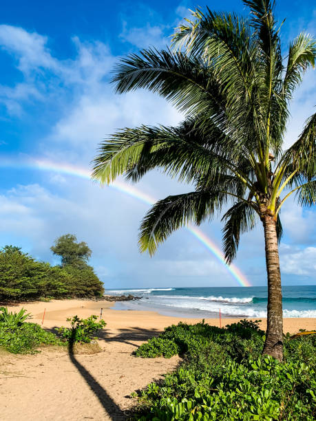 istock Rainbow on the Hawaiian Coastline 2182888917