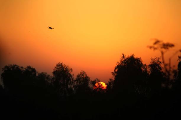 view of sunset in rawalpindi