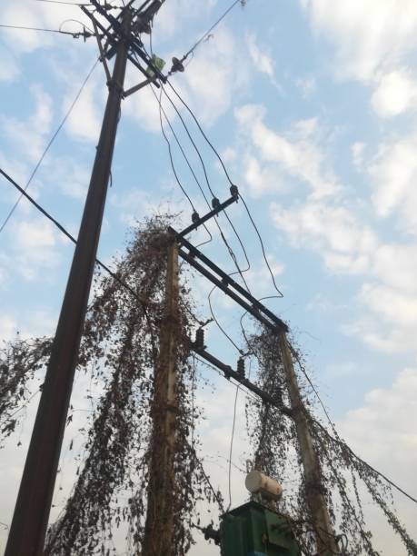istock The electric pole view with wines 2182890427