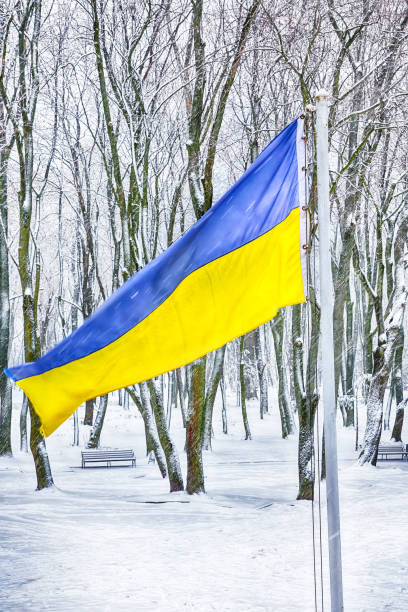 istock Ukraine Flag with winter landscape 2182891369