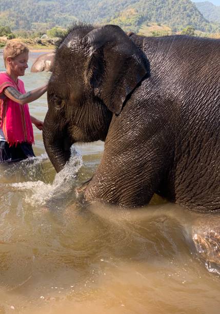 istock Water fight with elephant 2182892582