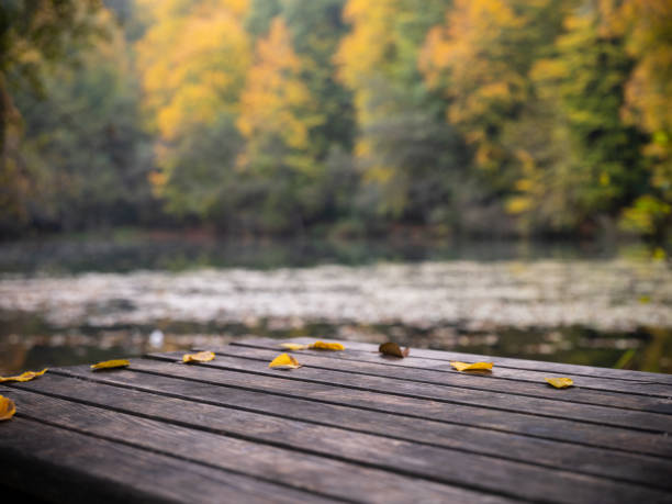 istock Empty old wooden table with blurred forest background in autumn 2182893340