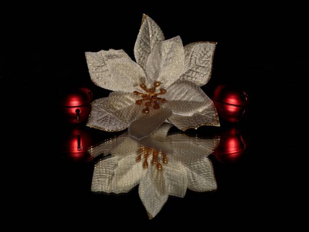 istock Poinsettia Flower & Red Bells. 2182893643