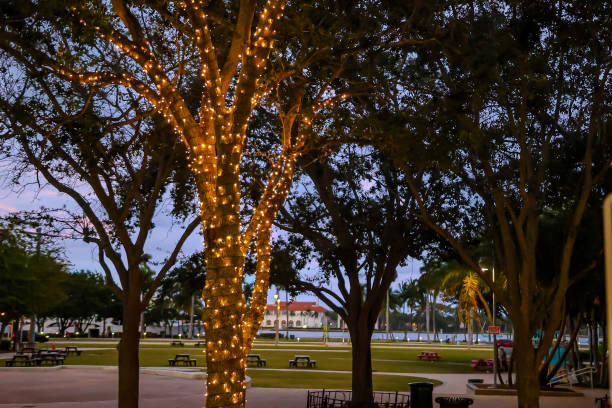 istock Christmas Lights on Trees in Park 2182895626
