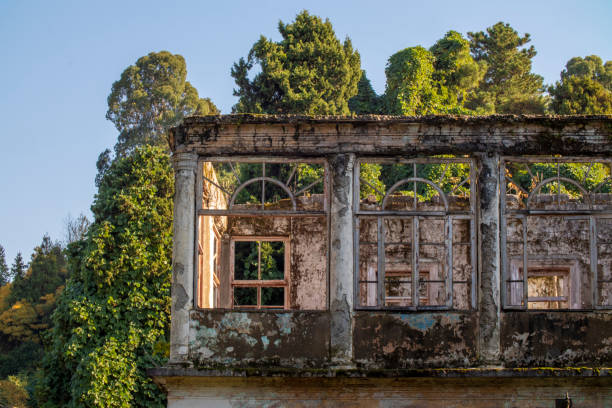 istock An old building with many windows is surrounded by trees 2182897560