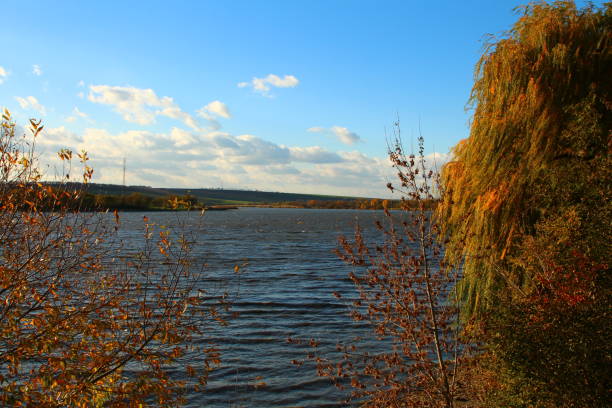 istock A body of water with trees around it 2182900229