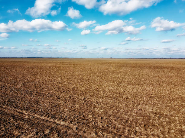 istock Beautiful blue sky over farm fields on a sunny day, aerial view. Landscape. 2182901194