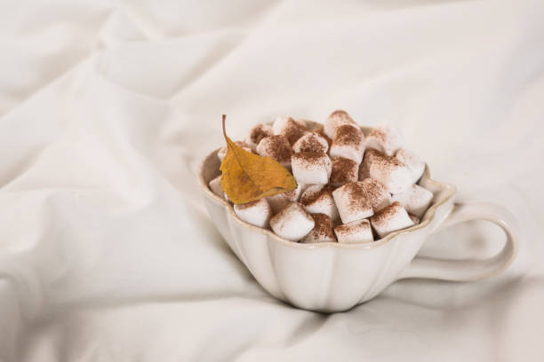 Relax with mug of hot chocolate with marshmallow