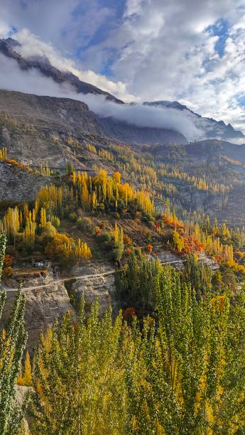 istock Autumn Pale leaves and Hunza Valley 2182902198