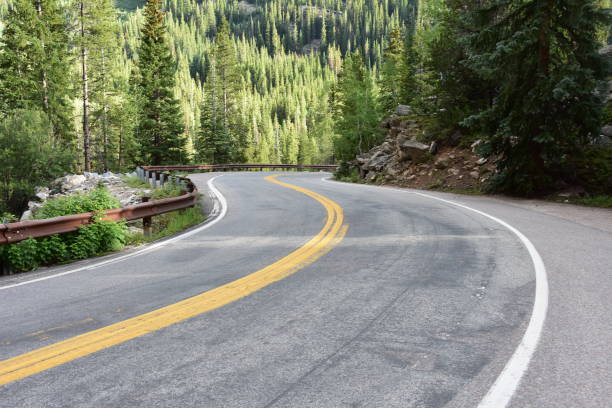 istock Sunny Forest Road Curving Through Nature 2182902543