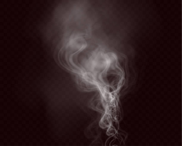 illustrazioni stock, clip art, cartoni animati e icone di tendenza di white smoke, vape, fog, smog. illustration of smoke on a transparent background. - fumo di sigaretta elettronica