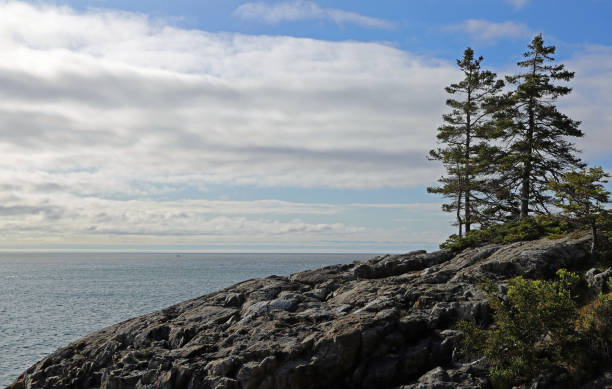Otter Cliff - Acadia National Park - Maine