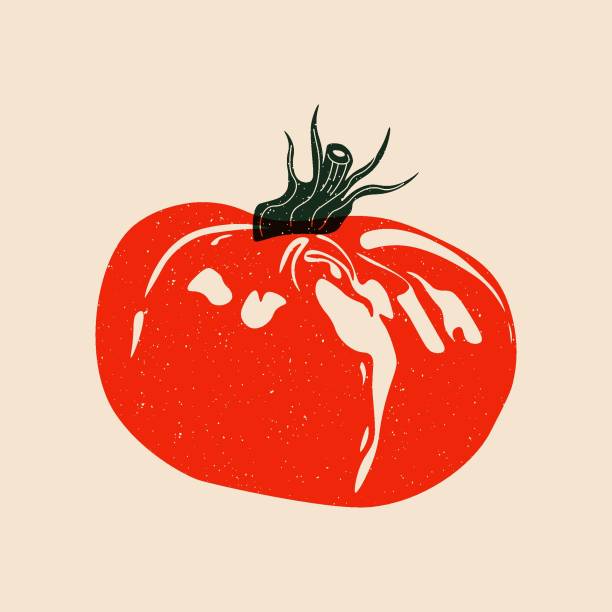 Red tomato risograph effect. Cartoon organic vegetable with retro print effect, healthy food concept for poster card design. Vector isolated illustration Red tomato risograph effect. Cartoon organic vegetable with retro print effect, healthy food concept for poster card design. Vector isolated illustration. riso print stock illustrations