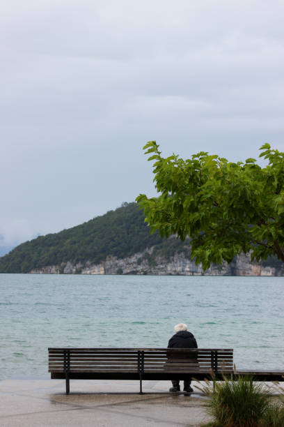 An elderly person sits alone on a bench by a calm lake, facing a misty mountain landscape under an overcast sky. A leafy tree on the right adds contrast to the otherwise muted colors of the scene, evoking a quiet, contemplative atmosphere.