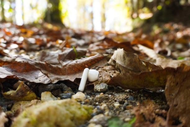 A single earbud lies lost on a park path, surrounded by fallen autumn leaves. The ground is blanketed in warm shades of orange and brown, and the earbud stands out amid the seasonal foliage, hinting at a forgotten moment on an autumn day.\